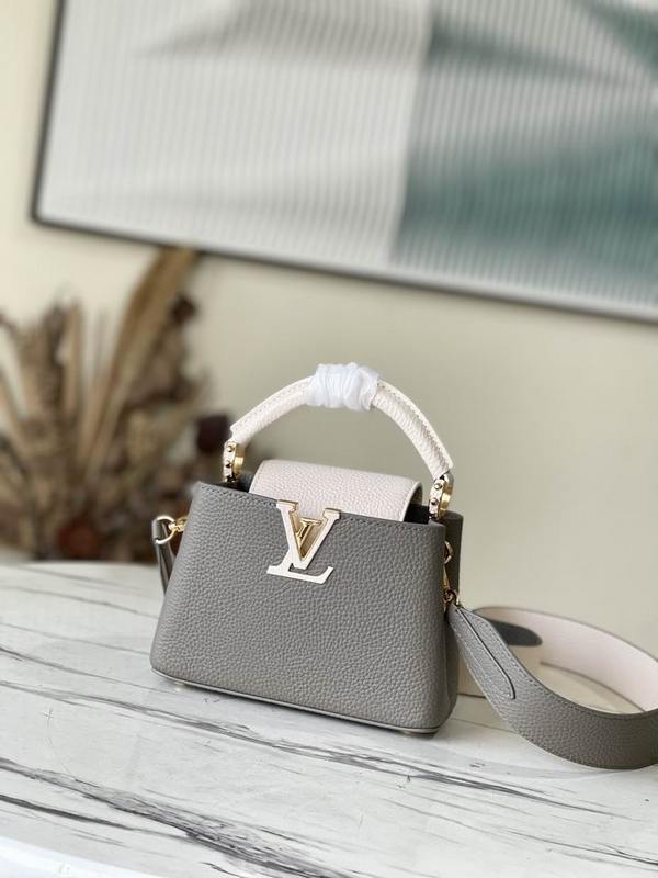 LV Handbags 249